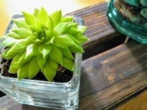 育毛剤の気になる効果について