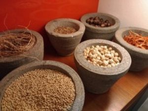 育毛剤の成分を把握しておきましょう